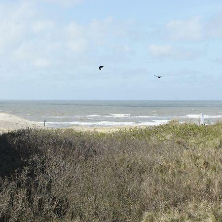 Holiday Studio Zeemuis Lägenhet Noordwijk Exteriör bild